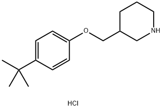 4-(tert-Butyl)phenyl 3-piperidinylmethyl etherhydrochloride 구조식 이미지