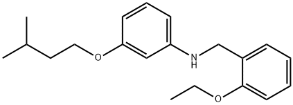 N-(2-Ethoxybenzyl)-3-(isopentyloxy)aniline 구조식 이미지