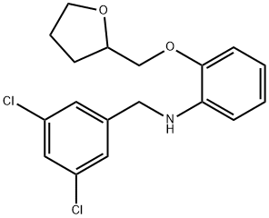 N-(3,5-Dichlorobenzyl)-2-(tetrahydro-2-furanylmethoxy)aniline 구조식 이미지