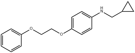 N-(Cyclopropylmethyl)-4-(2-phenoxyethoxy)aniline 구조식 이미지