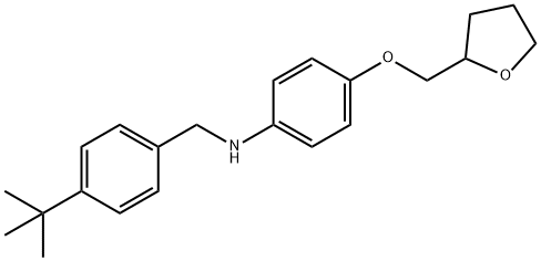 N-[4-(tert-Butyl)benzyl]-4-(tetrahydro-2-furanylmethoxy)aniline 구조식 이미지