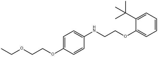 N-{2-[2-(tert-Butyl)phenoxy]ethyl}-4-(2-ethoxyethoxy)aniline Structure