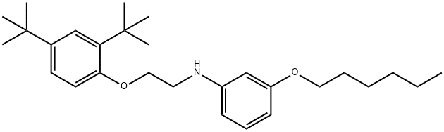 N-{2-[2,4-Di(tert-butyl)phenoxy]ethyl}-3-(hexyloxy)aniline Structure