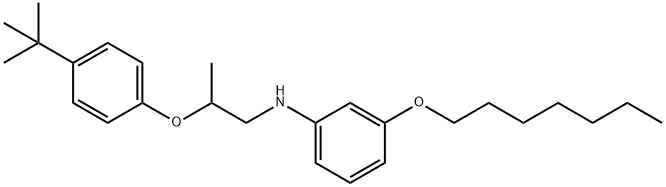 N-{2-[4-(tert-Butyl)phenoxy]propyl}-3-(heptyloxy)aniline 구조식 이미지