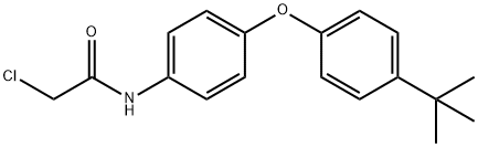 N-[4-(4-tert-butylphenoxy)phenyl]-2-chloroacetamide Structure