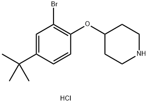 4-[2-Bromo-4-(tert-butyl)phenoxy]piperidinehydrochloride Structure