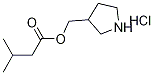 3-Pyrrolidinylmethyl 3-methylbutanoatehydrochloride 구조식 이미지