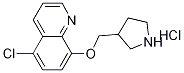 5-Chloro-8-(3-pyrrolidinylmethoxy)quinolinehydrochloride 구조식 이미지