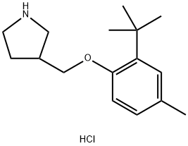 3-{[2-(tert-Butyl)-4-methylphenoxy]-methyl}pyrrolidine hydrochloride 구조식 이미지