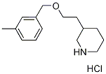 3-{2-[(3-Methylbenzyl)oxy]ethyl}piperidinehydrochloride 구조식 이미지