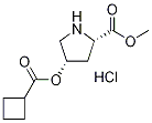 Methyl (2S,4S)-4-[(cyclobutylcarbonyl)oxy]-2-pyrrolidinecarboxylate hydrochloride 구조식 이미지