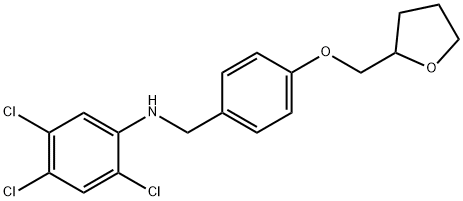 2,4,5-Trichloro-N-[4-(tetrahydro-2-furanylmethoxy)benzyl]aniline 구조식 이미지