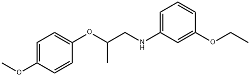 3-Ethoxy-N-[2-(4-methoxyphenoxy)propyl]aniline 구조식 이미지