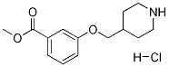 Methyl 3-(4-piperidinylmethoxy)benzoatehydrochloride Structure