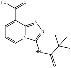 3-[(2,2-dimethylpropanoyl)amino][1,2,4]triazolo[4,3-a]pyridine-8-carboxylic acid 구조식 이미지