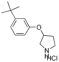 3-[3-(tert-Butyl)phenoxy]pyrrolidine hydrochloride Structure