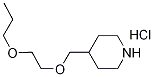 4-[(2-Propoxyethoxy)methyl]piperidinehydrochloride Structure