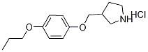 3-[(4-Propoxyphenoxy)methyl]pyrrolidinehydrochloride 구조식 이미지