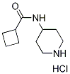 N-(4-Piperidinyl)cyclobutanecarboxamidehydrochloride Structure