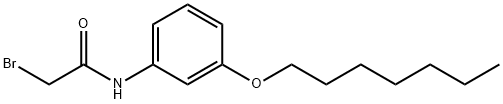 2-Bromo-N-[3-(heptyloxy)phenyl]acetamide 구조식 이미지