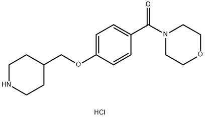 4-[4-(Piperidin-4-ylmethoxy)benzoyl]morpholine hydrochloride Structure