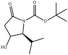 tert-Butyl (2S)-3-hydroxy-2-isopropyl-5-oxopyrrolidine-1-carboxylate Structure