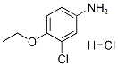 3-CHLORO-4-ETHOXYANILINE HYDROCHLORIDE Structure