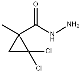 2,2-DICHLORO-1-METHYLCYCLOPROPANECARBOHYDRAZIDE 구조식 이미지