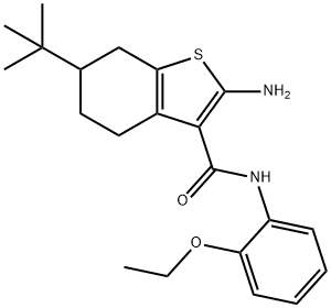 2-Amino-6-tert-butyl-N-(2-ethoxyphenyl)-4,5,6,7-tetrahydrobenzo[b]thiophene-3-car 구조식 이미지