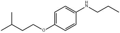 4-(Isopentyloxy)-N-propylaniline 구조식 이미지