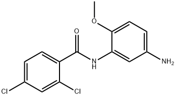 N-(5-Amino-2-methoxyphenyl)-2,4-dichlorobenzamide 구조식 이미지