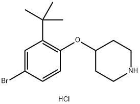 4-[4-Bromo-2-(tert-butyl)phenoxy]piperidinehydrochloride 구조식 이미지