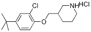 3-{[4-(tert-Butyl)-2-chlorophenoxy]-methyl}piperidine hydrochloride 구조식 이미지