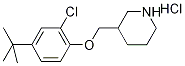 3-{[4-(tert-Butyl)-2-chlorophenoxy]-methyl}piperidine hydrochloride Structure