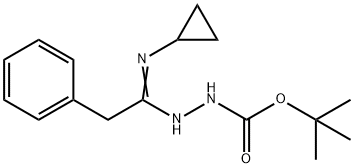 N'-[1-Cyclopropylamino-2-phenylethylidene]-hydrazinecarboxylic acid tert-butyl ester 구조식 이미지