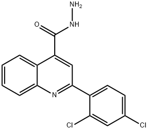 2-(2,4-DICHLOROPHENYL)QUINOLINE-4-CARBOHYDRAZIDE Structure