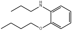 N-(2-Butoxyphenyl)-N-propylamine 구조식 이미지