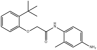 N-(4-Amino-2-methylphenyl)-2-[2-(tert-butyl)-phenoxy]acetamide 구조식 이미지