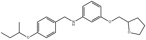 N-[4-(sec-Butoxy)benzyl]-3-(tetrahydro-2-furanylmethoxy)aniline Structure