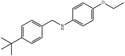 N-[4-(tert-Butyl)benzyl]-4-ethoxyaniline Structure