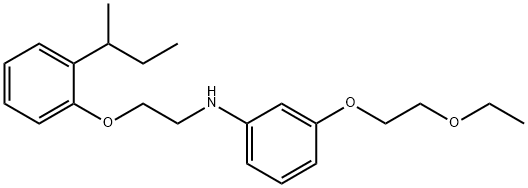 N-{2-[2-(sec-Butyl)phenoxy]ethyl}-3-(2-ethoxyethoxy)aniline 구조식 이미지