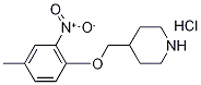 4-[(4-Methyl-2-nitrophenoxy)methyl]piperidinehydrochloride 구조식 이미지