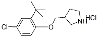 3-{[2-(tert-Butyl)-4-chlorophenoxy]-methyl}pyrrolidine hydrochloride 구조식 이미지
