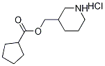 3-Piperidinylmethyl cyclopentanecarboxylatehydrochloride 구조식 이미지