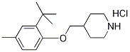 4-{[2-(tert-Butyl)-4-methylphenoxy]-methyl}piperidine hydrochloride 구조식 이미지