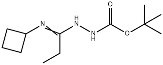 N'-[1-Cyclobutylaminopropylidene]-hydrazinecarboxylic acid tert-butyl ester 구조식 이미지