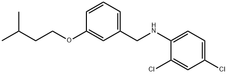 2,4-Dichloro-N-[3-(isopentyloxy)benzyl]aniline Structure