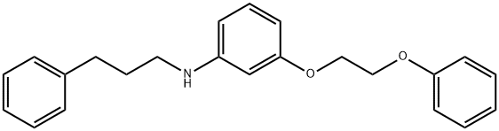 3-(2-Phenoxyethoxy)-N-(3-phenylpropyl)aniline 구조식 이미지