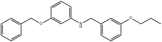 3-(Benzyloxy)-N-(3-propoxybenzyl)aniline Structure