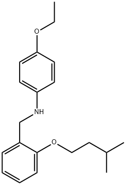 4-Ethoxy-N-[2-(isopentyloxy)benzyl]aniline Structure
